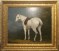 Jacques Laurent Agasse A Lady s Grey Hunter post 1800&nbsp;sm