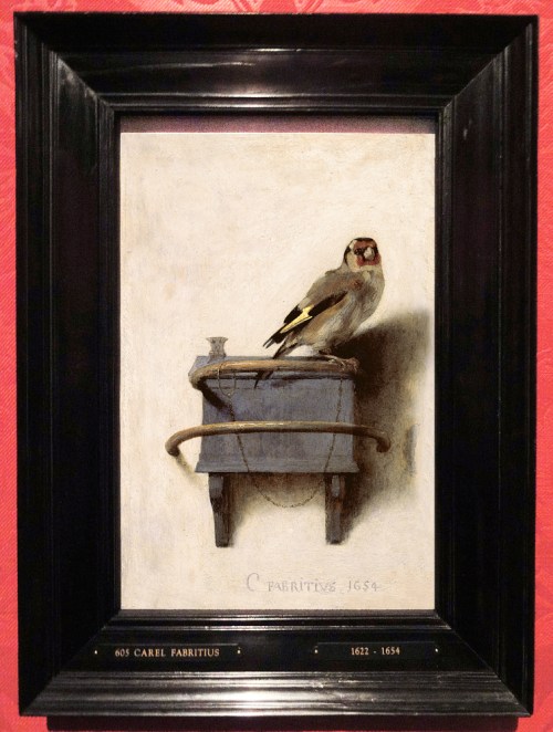 Carel Fabritius The goldfinch ed sm