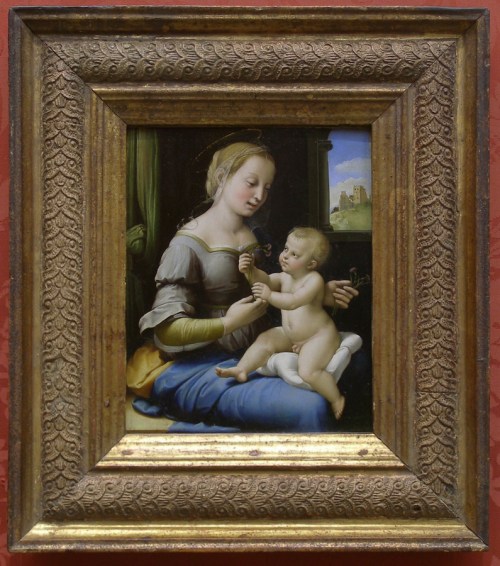 Raphael Madonna of the pinks NG6596 sm