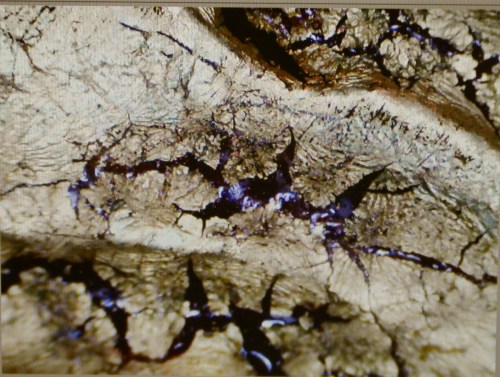 8 Microscopic close up of nail sm