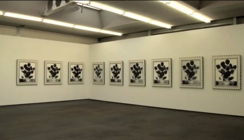 19 Mark-Alexander-Via-Negativa installation 1