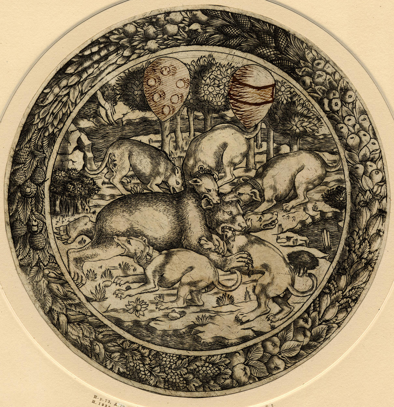 6 Baccio Baldini attrib Bear attacked by five dogs & garland frame engraving c1465to80 Otto print BM